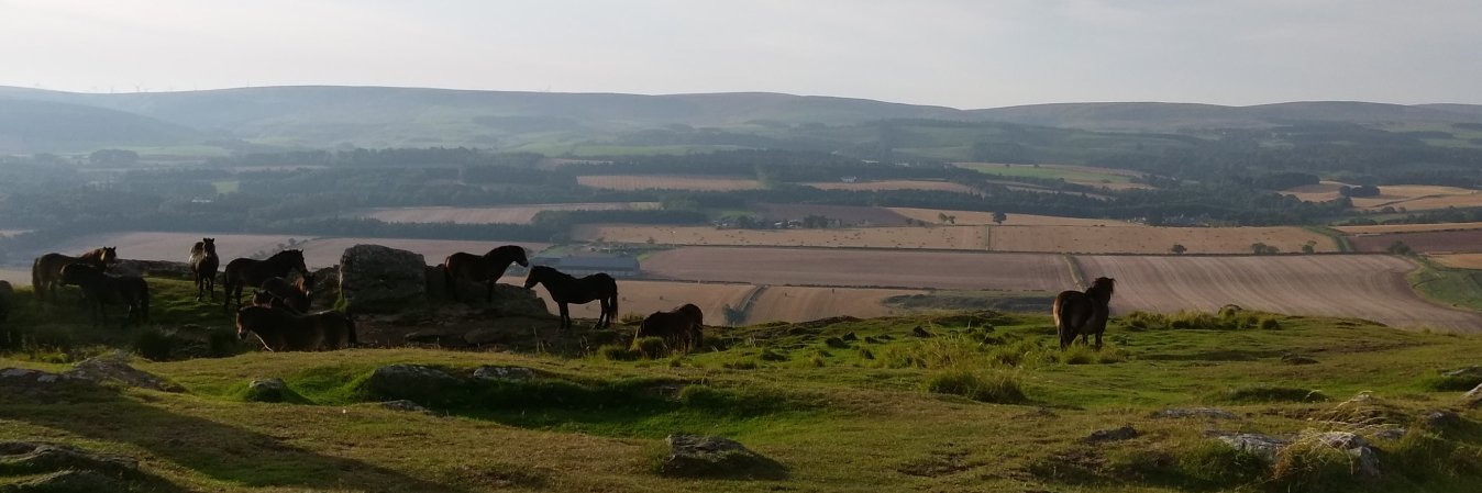 CountrystoreD's profile banner image