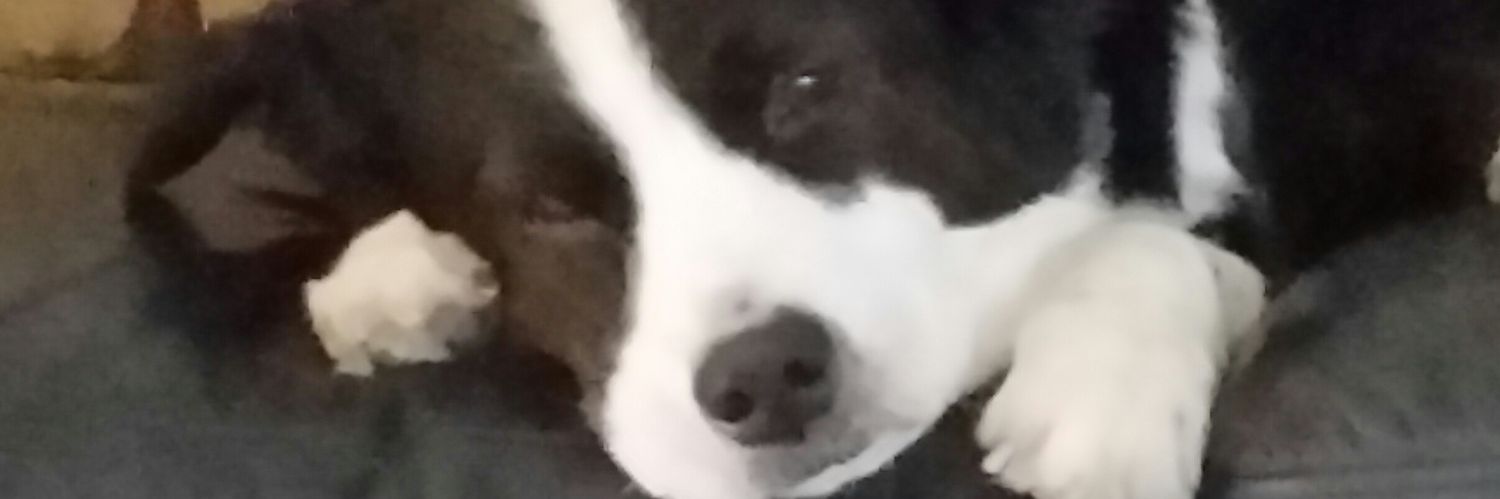 CdCdudley7's profile banner image