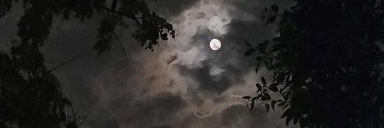 hypnoticgolem's profile banner image