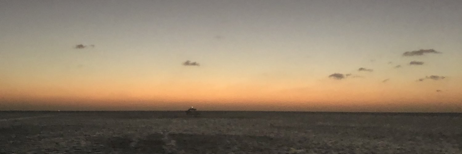 grimaudo81's profile banner image