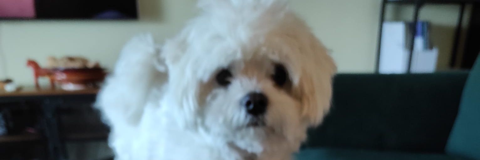 EdWillis2000's profile banner image