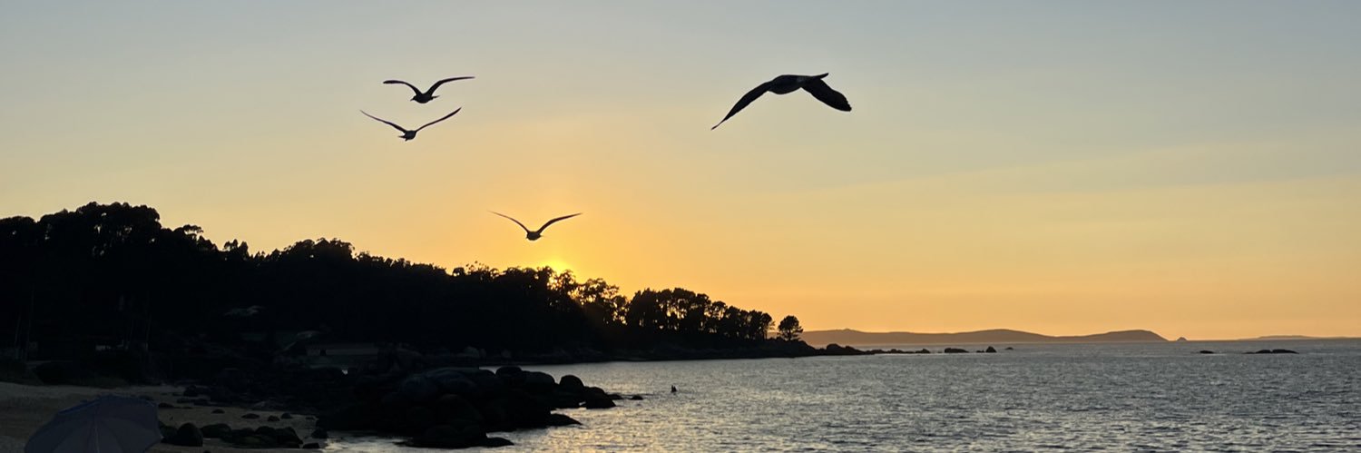 sylversurf_'s profile banner image