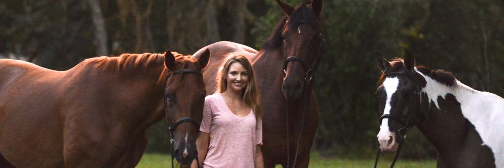 AmandaLBaron's profile banner image