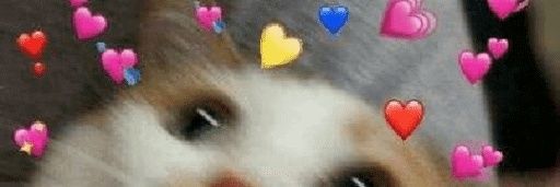sssladdy🫀 banner