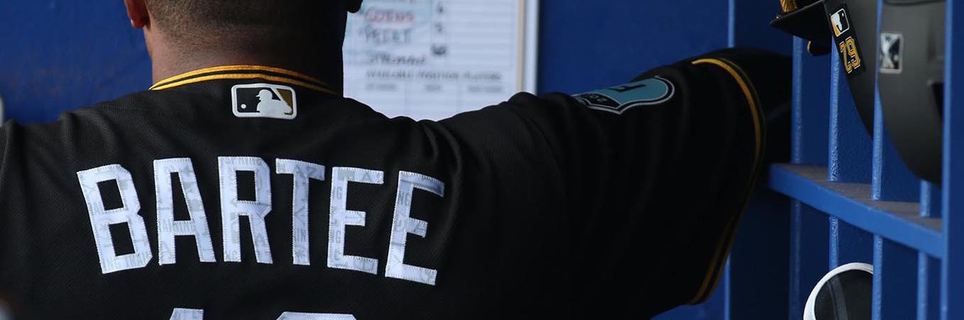 tslide44's profile banner image