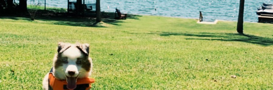 h_mparker's profile banner image