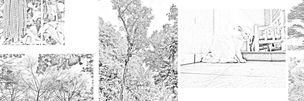 Kam_ael's profile banner image