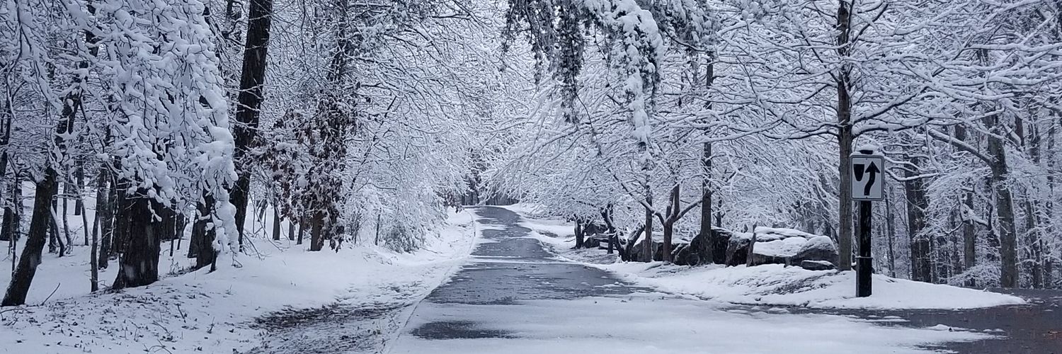 David Beechuk banner