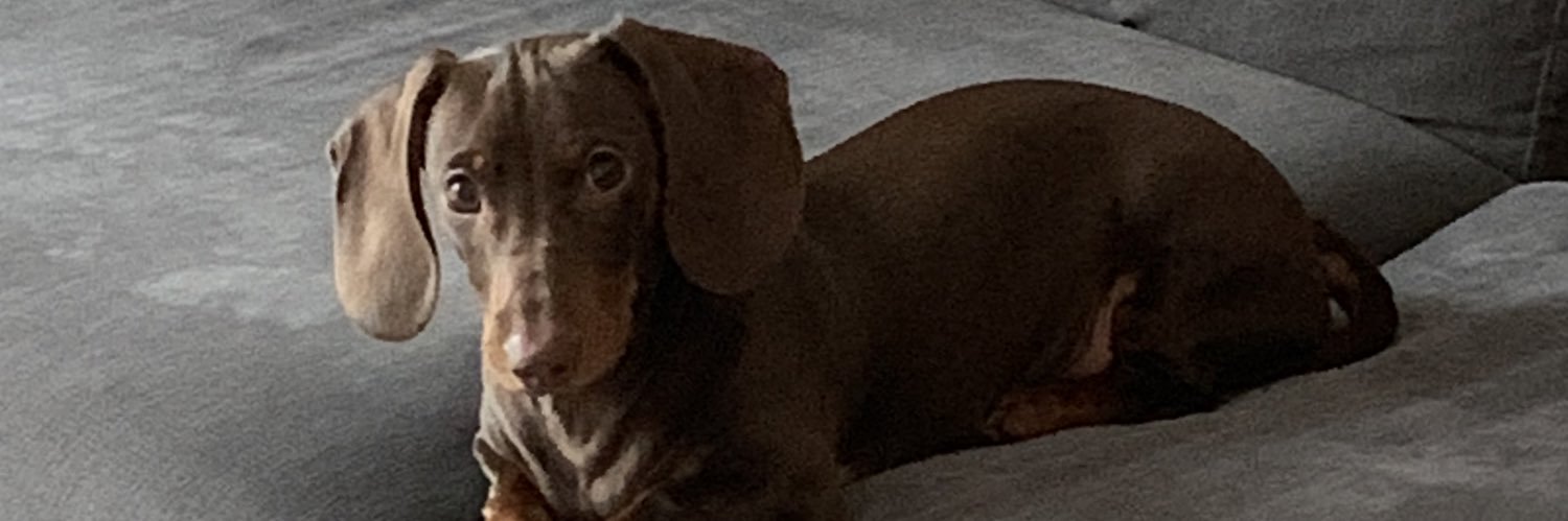 NarelleEdwards's profile banner image
