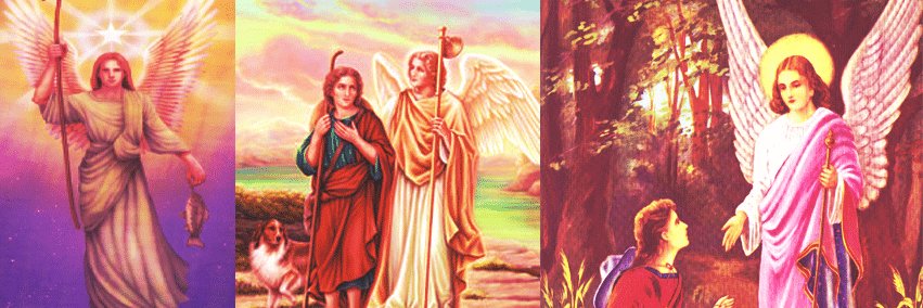 winewitch14's profile banner image
