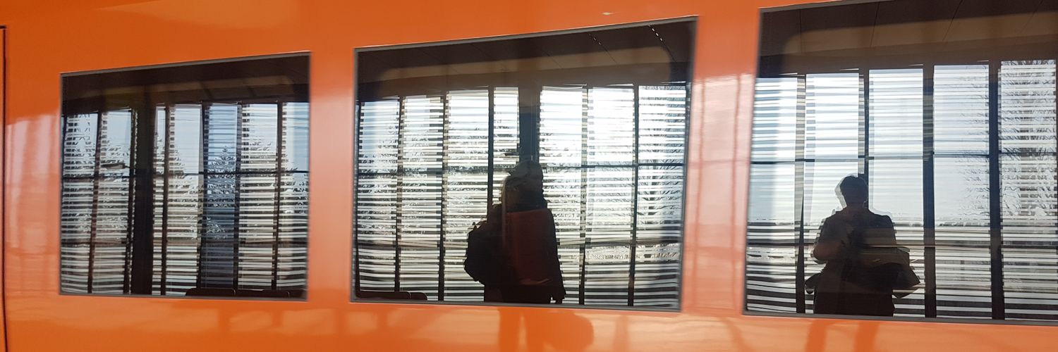 Paikallisliikenneliitto banner