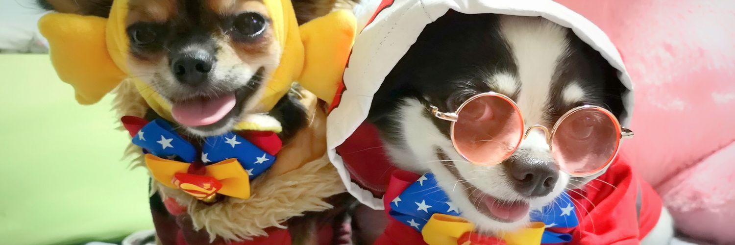 ratchanokponin's profile banner image