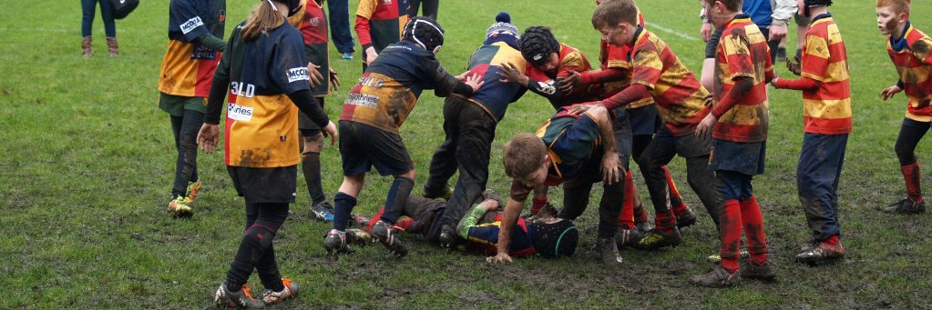 HillsMiniRugby's profile banner image