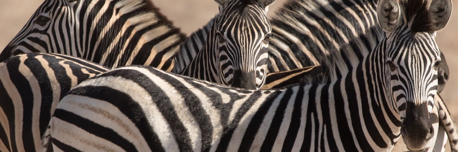 Karen Bangs Photography banner