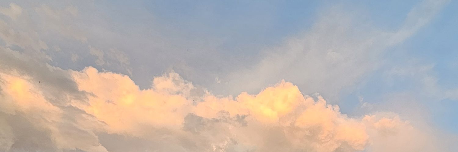 slanittx's profile banner image