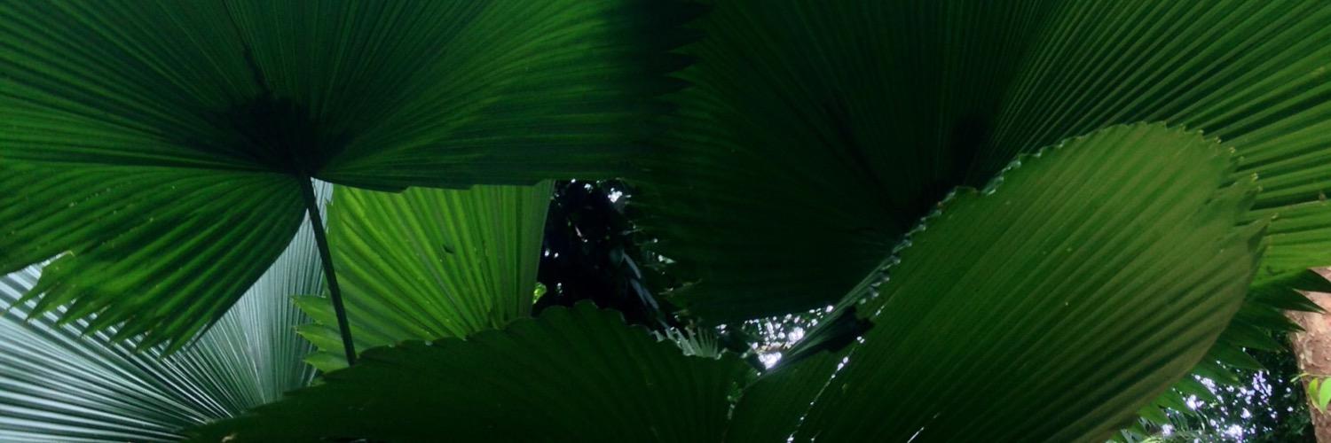Jonathanhoen's profile banner image