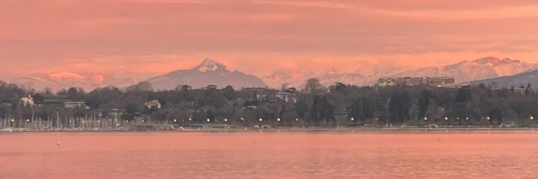Erwin Böttinger banner