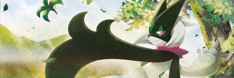 Avocado1804688's profile banner image