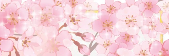 ✨️💖🌸Kohaku🌸 💖✨️ banner