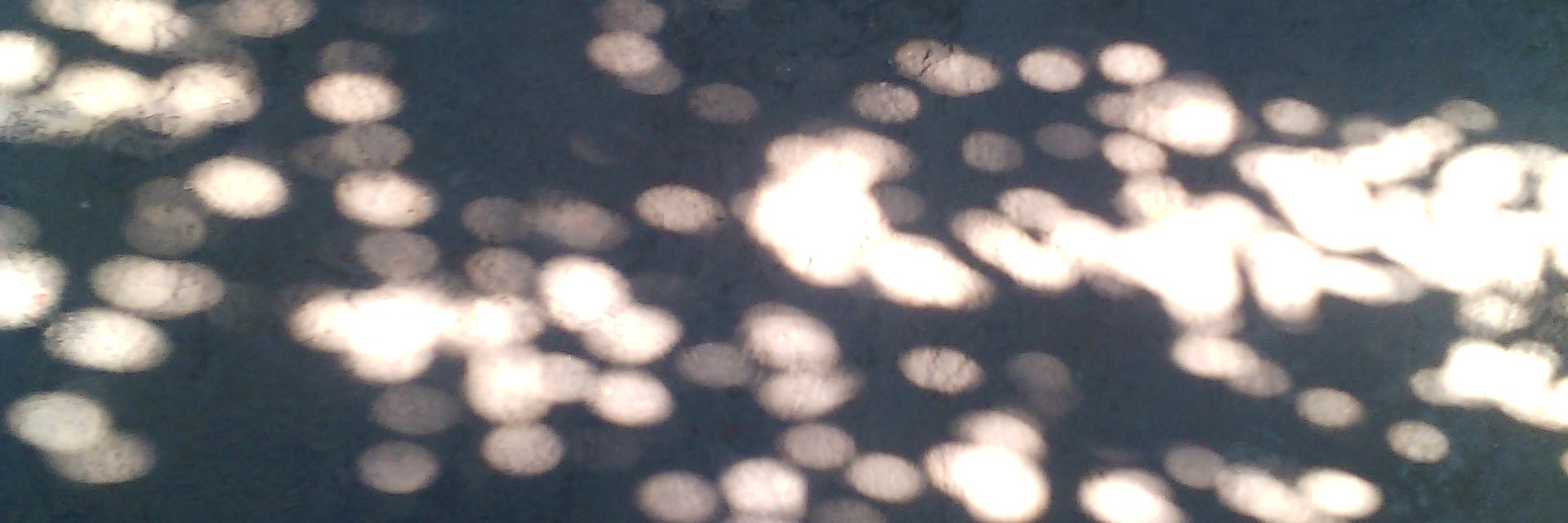 devyanibhardwaj's profile banner image