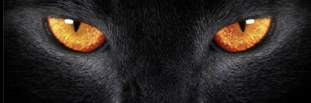 TMorril's profile banner image