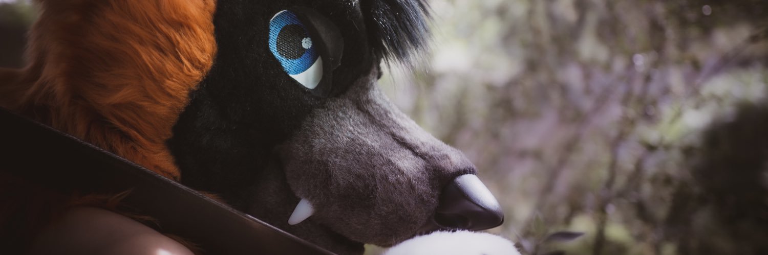 Decker Fox's banner