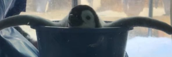 garugarupo112's profile banner image