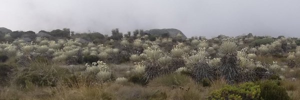 robustories Profile Banner