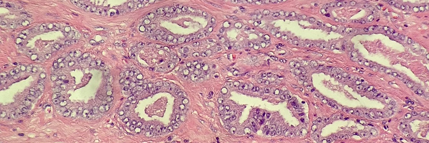 jorthega's profile banner image
