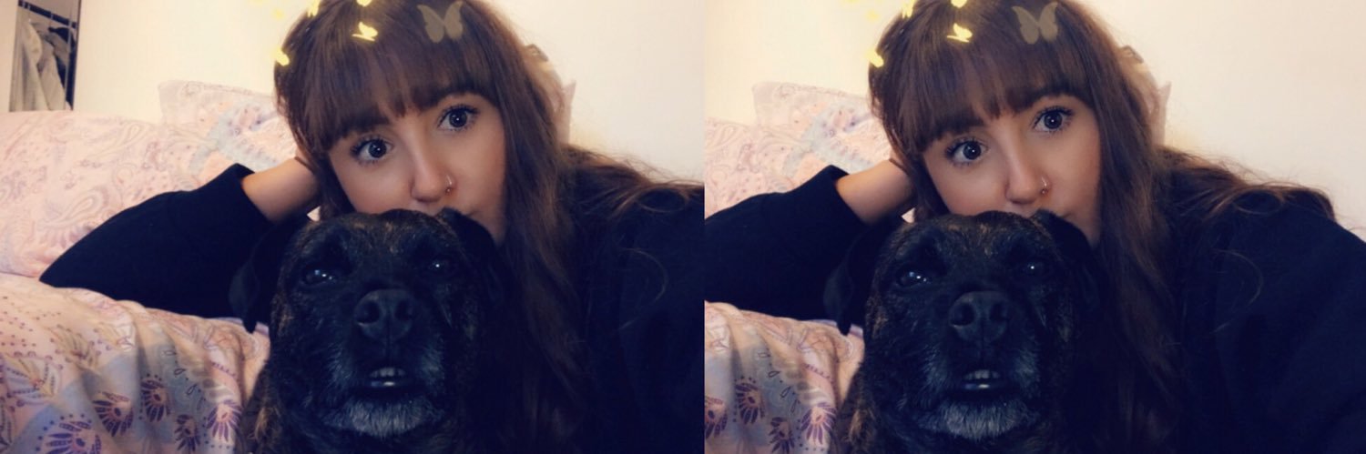 morgan_bets's profile banner image