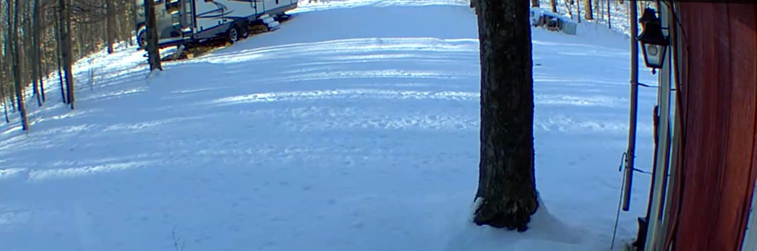 BitcoinInParadiz banner