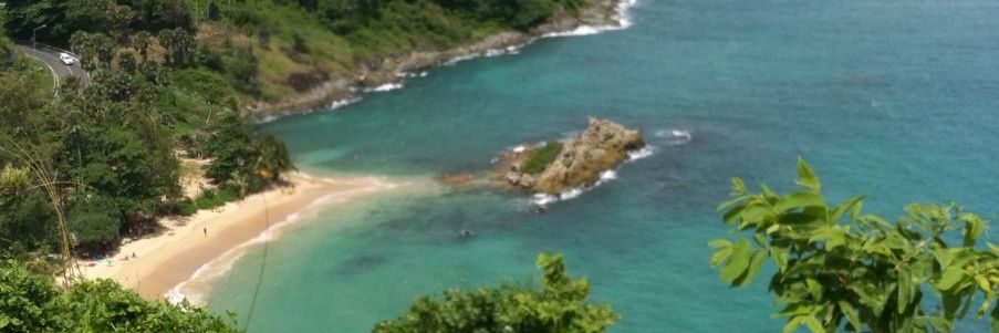 Kelly san banner