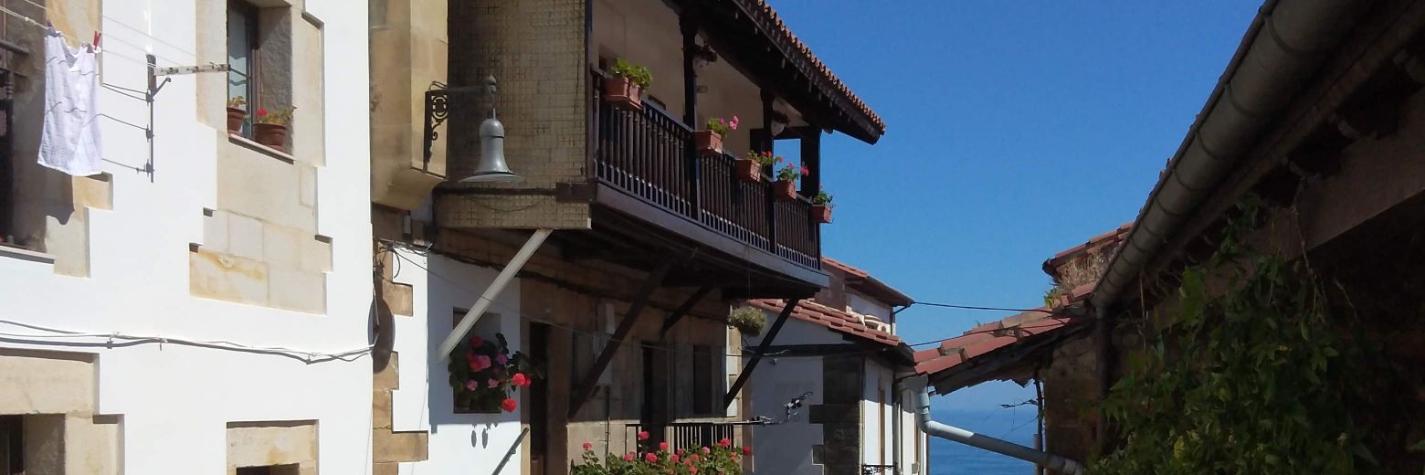 janipedrera's profile banner image