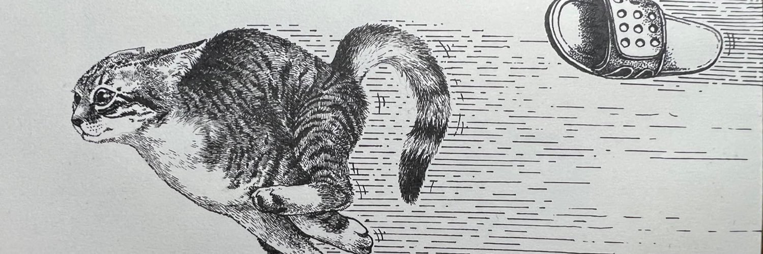 a_khongkwan's profile banner image