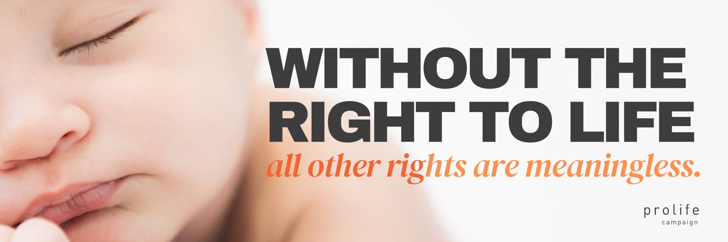 Pro Life Campaign Ireland's banner