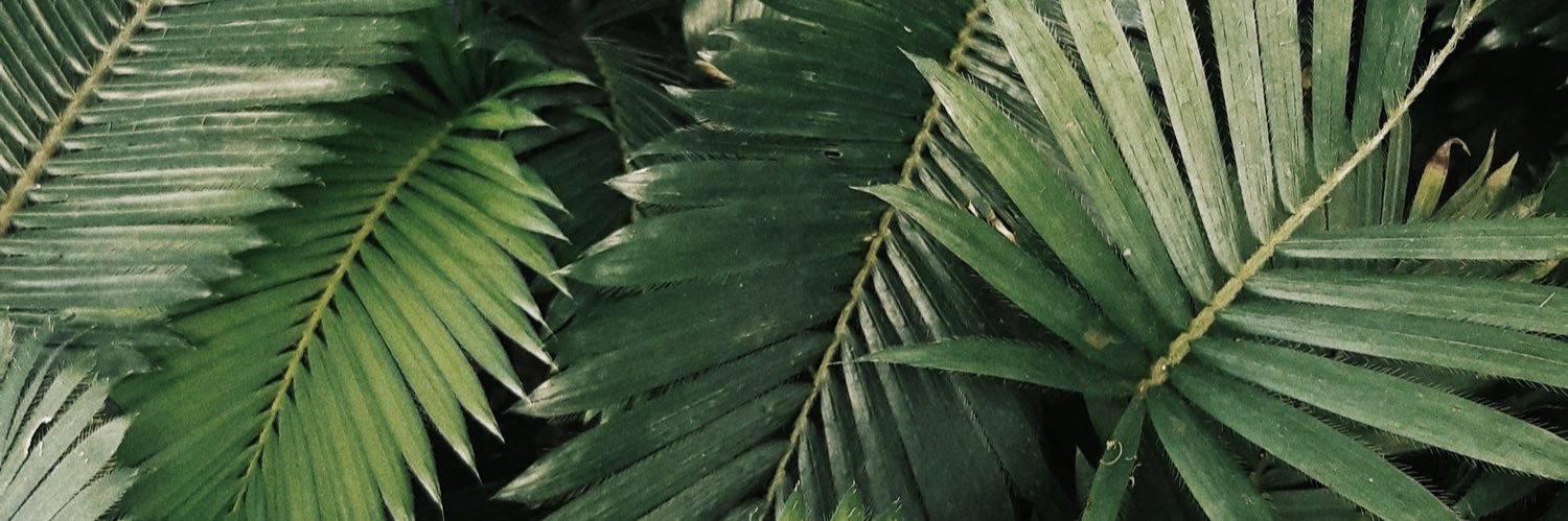 directedbyjwillz banner