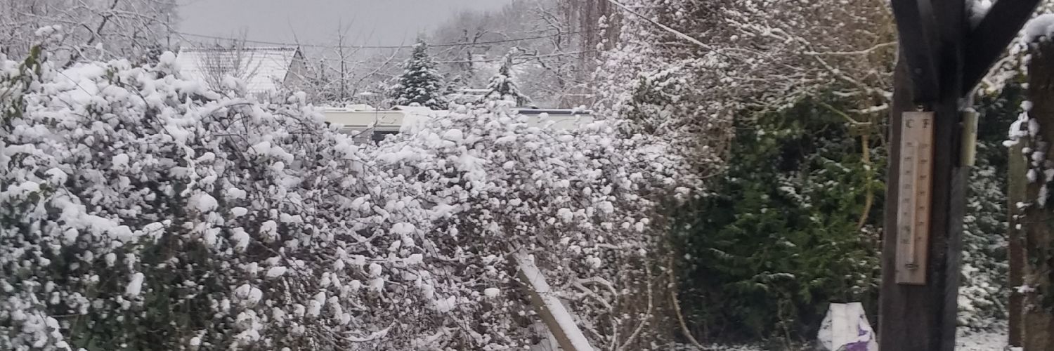 EL Profesor Deadpool 🇫🇷🇧🇪🇩🇪🇳🇱 banner