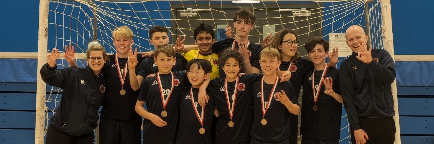 Birmingham Bisons Handball Club banner