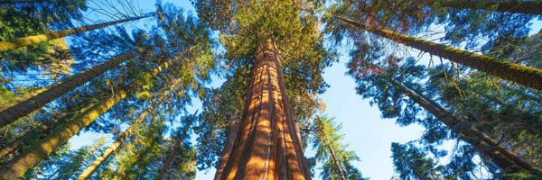 samimccabe Profile Banner