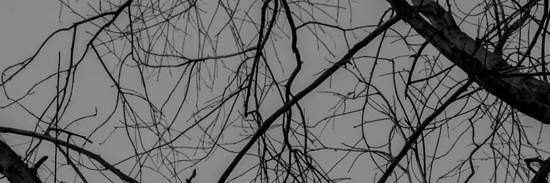 SuicideRight's profile banner image