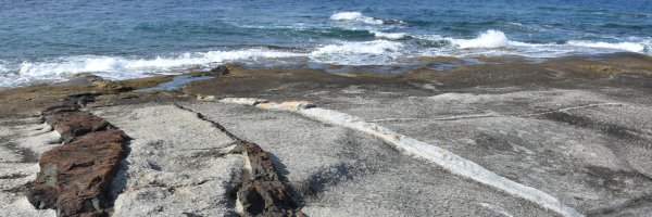 Laboratoire de Géologie de Lyon banner