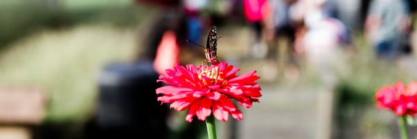 MooreMagnetSTEM Profile Banner