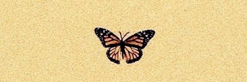 CaliWilder's profile banner image