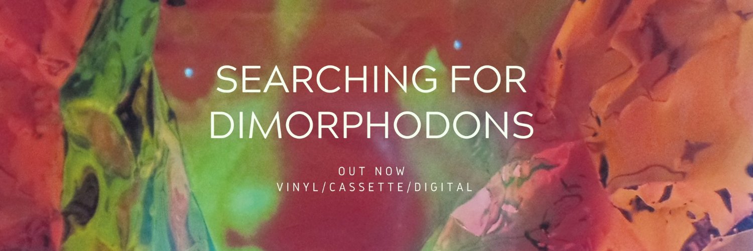 Michelle Hilborne banner