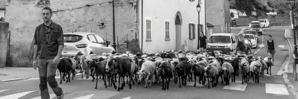 albertinipj Profile Banner