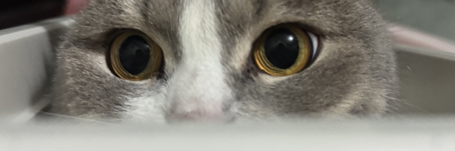 ผักติดขม คนติดเกย์ 🥬 banner