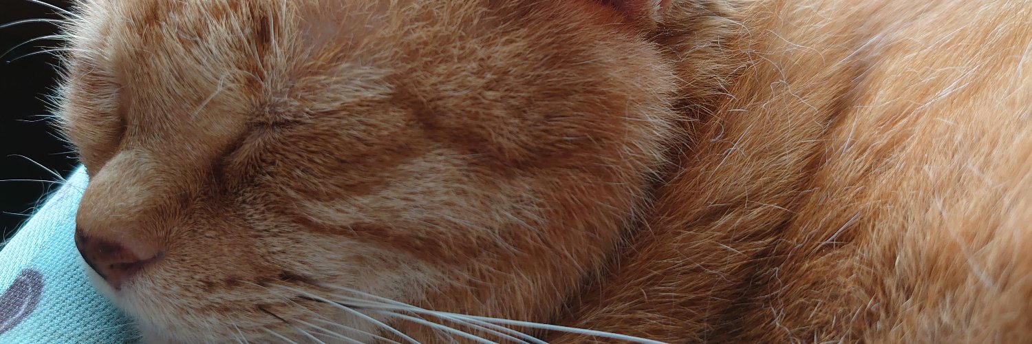 maron3873's profile banner image