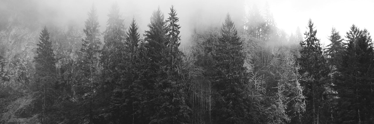 jenscozycorner's profile banner image