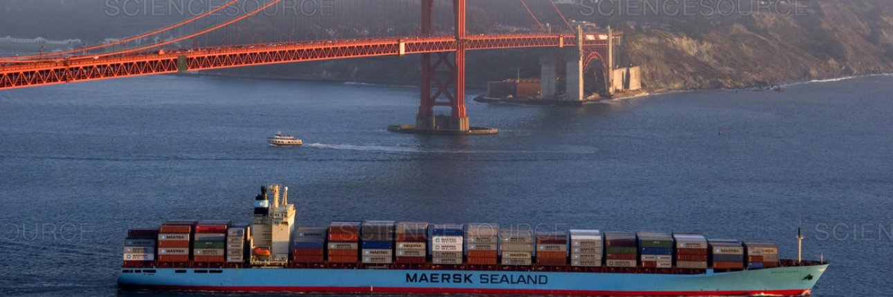 Kaitlyn Glancy banner