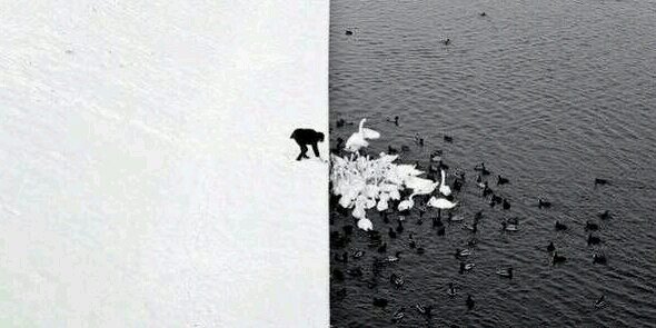 عبدالله منيف banner